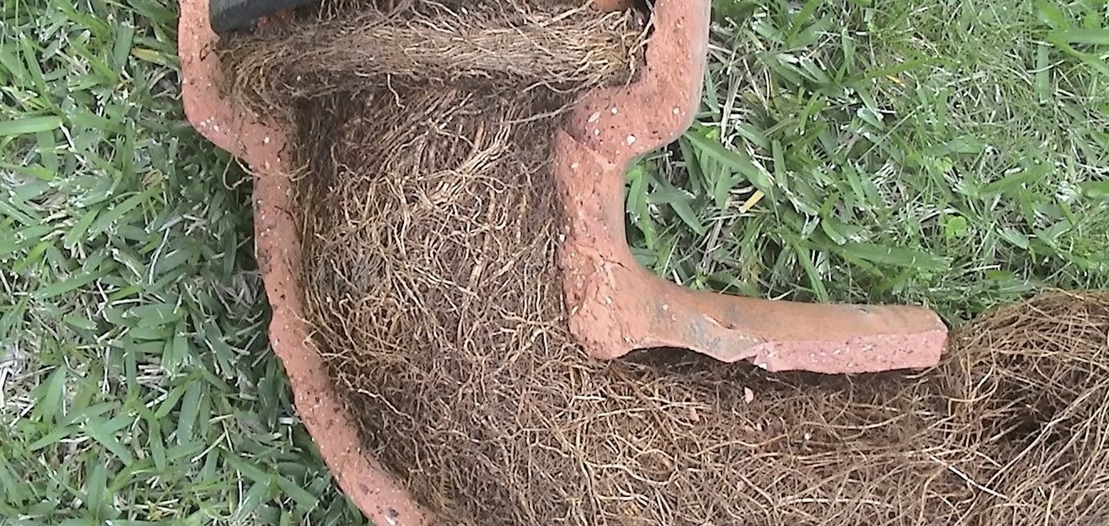 Cast iron pipes under Plano TX homes